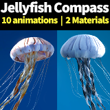 Jellyfish Compass