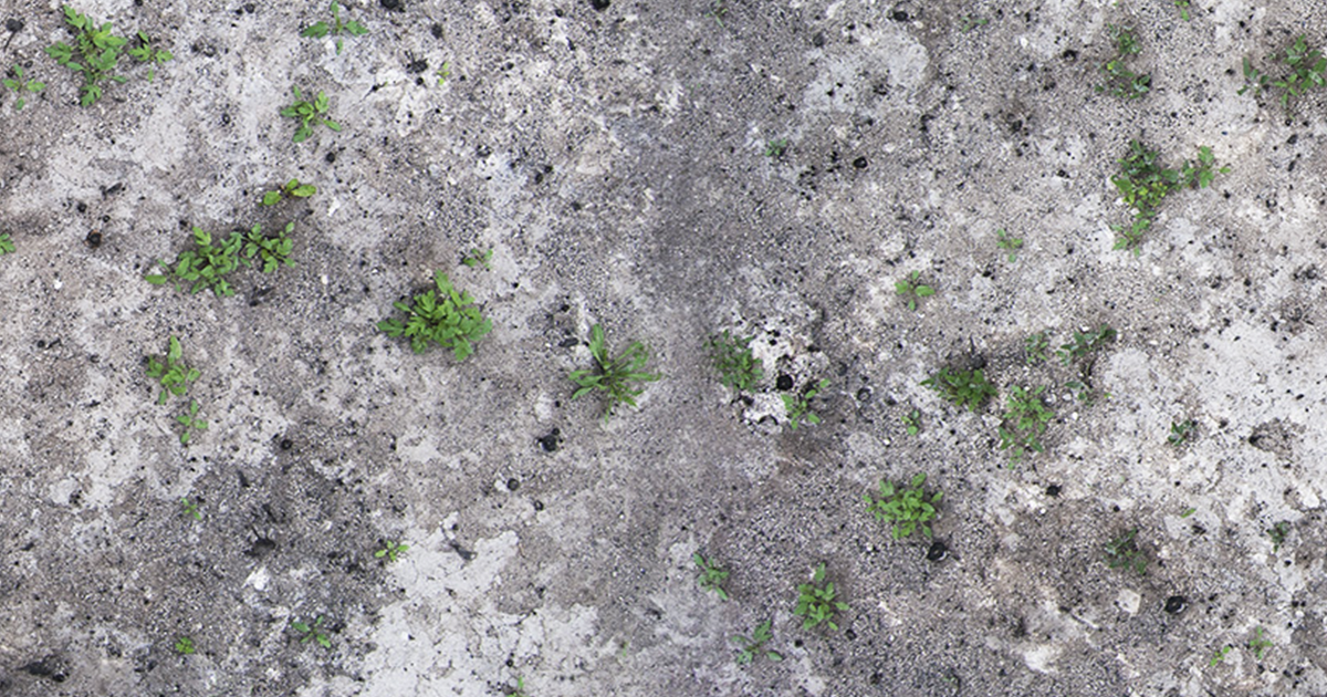 Ten Ground Textures | 2D Floors | Unity Asset Store