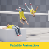 Fatality Animation