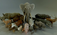 ANIMALS FULL PACK