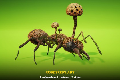Cordyceps Ant