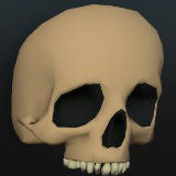 Puzzle Props: Human Skull & Gems