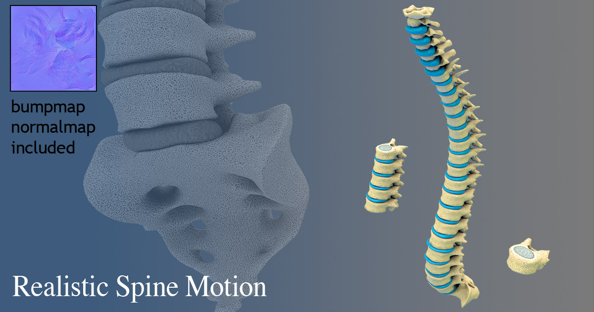 Spine Tutorial Assets Spine Core Motion | 3D Characters | Unity Asset Store