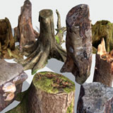 Mountain Forest Stumps