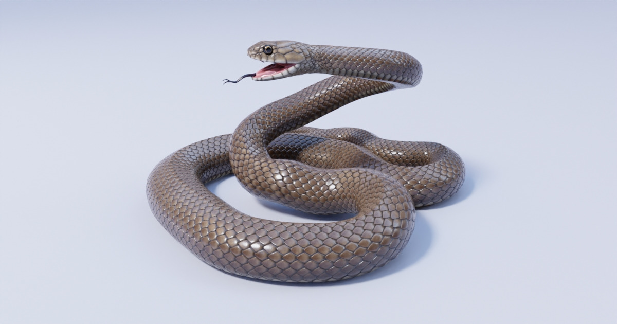 Basic Unity Snake Color Eastern Brown Snake | Characters | Unity Asset Store