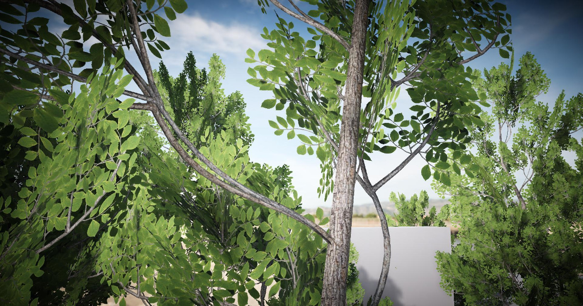 Treehouse Download Unity Mobile Tree Pack 3 (URP) | 3D 树木 | Unity Asset Store