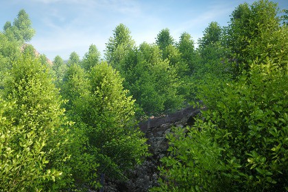 Tree Normal Toolkit (AAA Tree Rendering)
