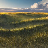 Fantasy Style Grassland Art Pack