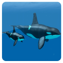 Underwater Animals Pack