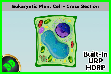 Eukaryotic Plant Cell - Cross Section