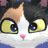 Cute Cat