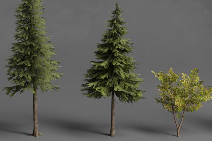 Stylized Trees