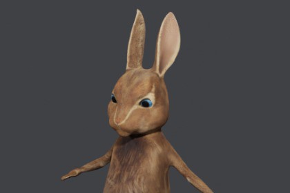 Casual Rabbit Character