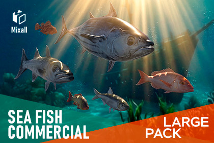 Commercial sea fish - large pack