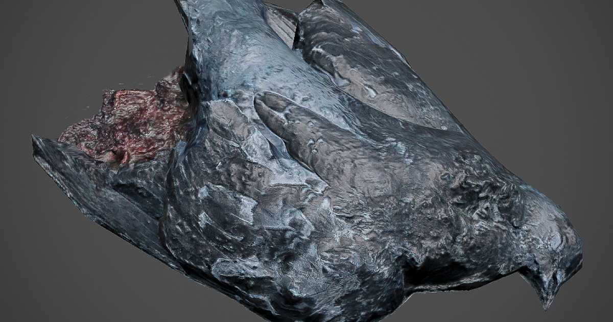 DeadPigeon | 3D Environments | Unity Asset Store