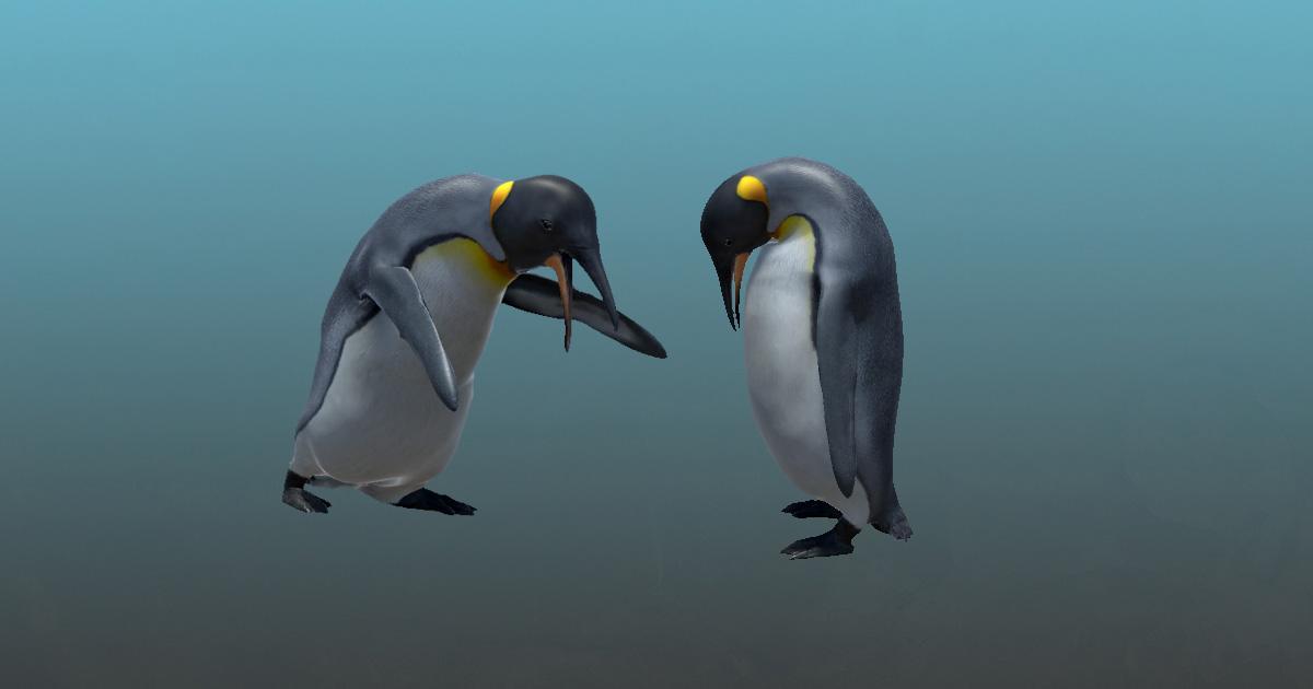 Arctic Animal King Penguin (Full Version) | 3D Characters | Unity Asset ...