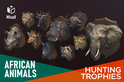 African animals – Hunting trophies