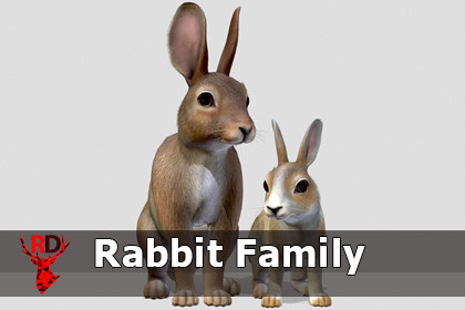Rabbit Family