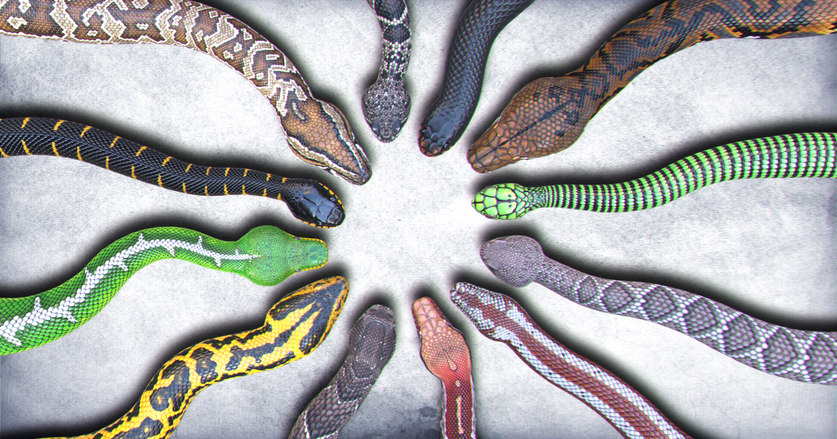 Unity Store Snake Animated Snakes PBR Ultimate Vol 2 | Characters | Unity Asset Store