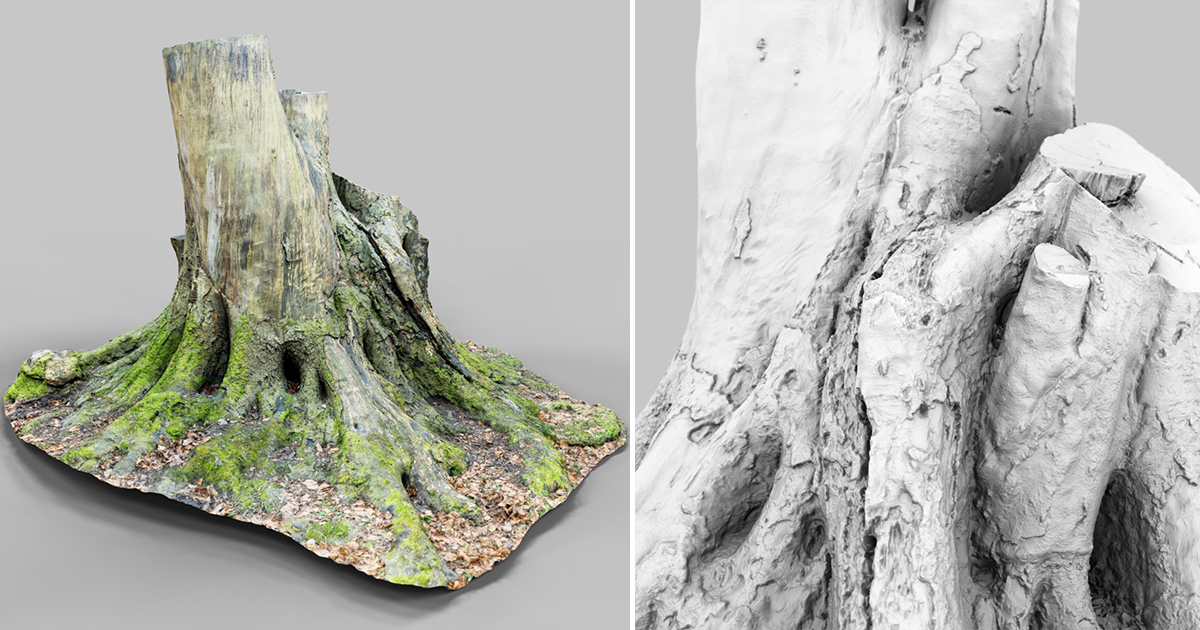 Roots 2 Tree Stump | 3D Trees | Unity Asset Store