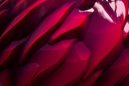 Crystal Texture & Material Vol. 26