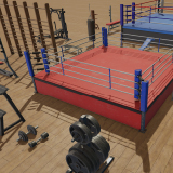 Boxing and Gym Equipment