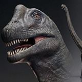 Dinosaur Argentinosaurus Sauropod