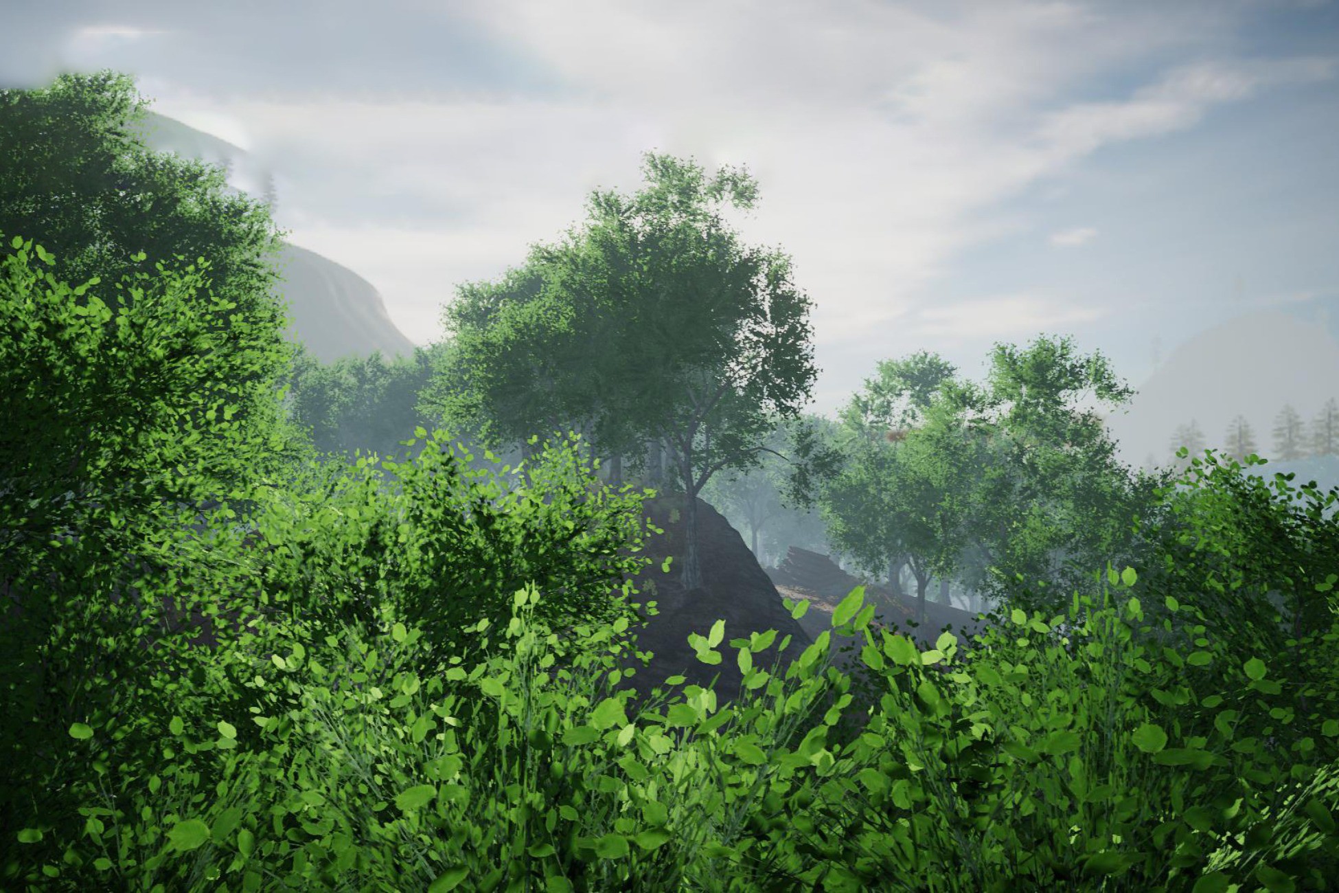 Asset Screenshot 1