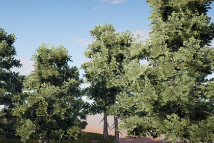 Realistic Tree Pack 9 (for HDRP)