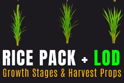 Rice Farm Growth Stages – LOD 3D Bundle