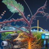 Ambient BioSpheres: 50 Sci-Fi Music, Atmospheres & Textures