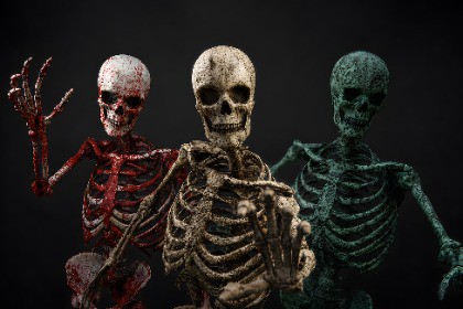 Skeleton Pack