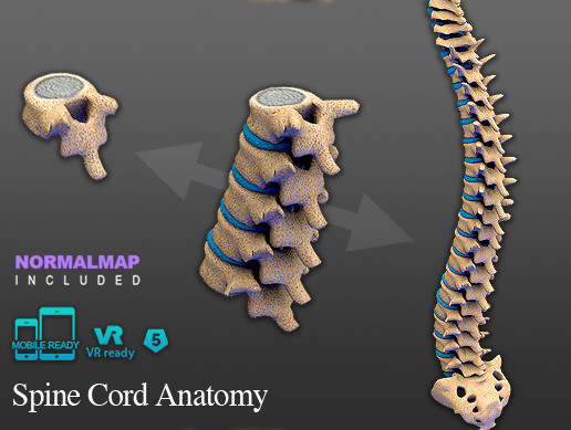 Spine Core Motion