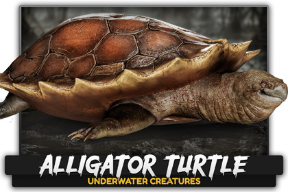 Alligator Turtle Predator - Animated Realistic Underwater Reptile