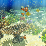 Real Underwater Worlds — Biome Generator & Rendering