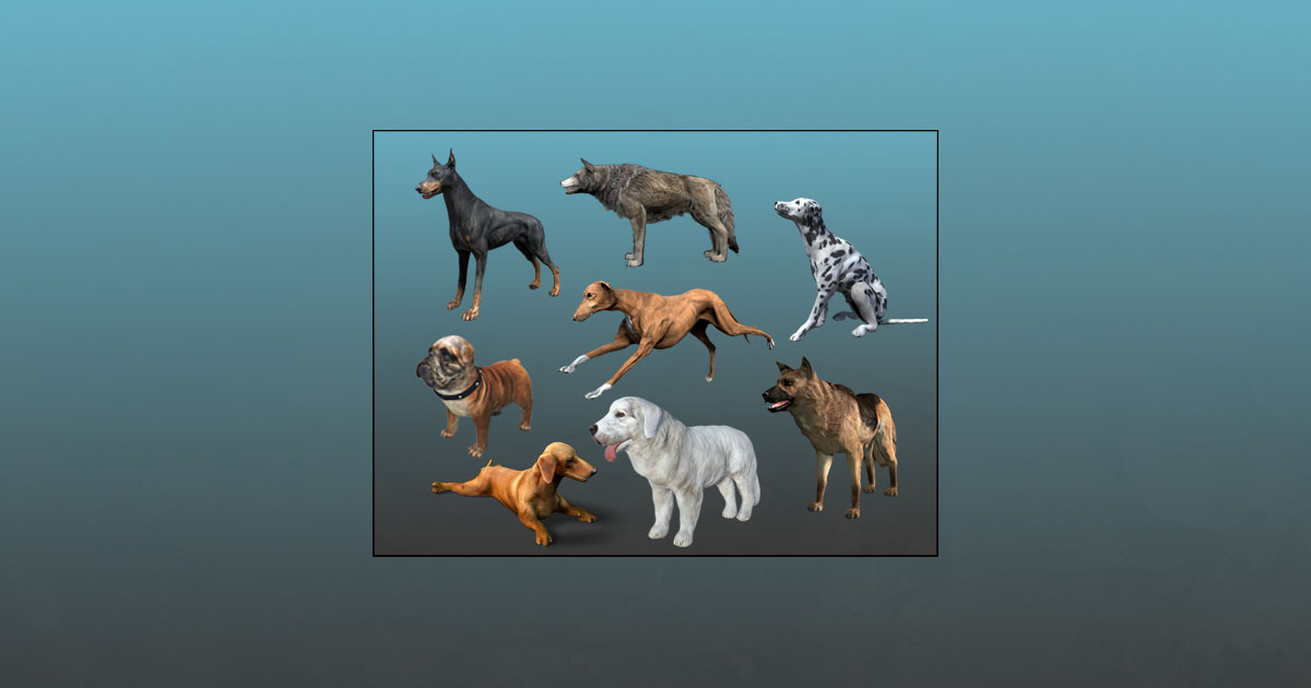 Unity Chain Dog Dog Pack | キャラクター | Unity Asset Store