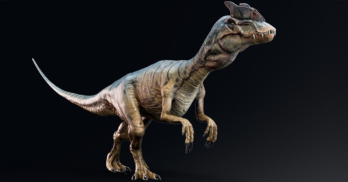 Dinosaur - Hybrid Dilophosaurus | 3D Creatures | Unity Asset Store
