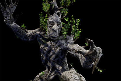 Tree ent birch