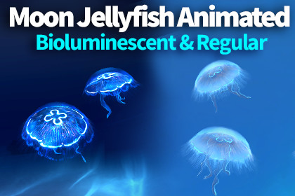 Jellyfish Moon Bioluminescent