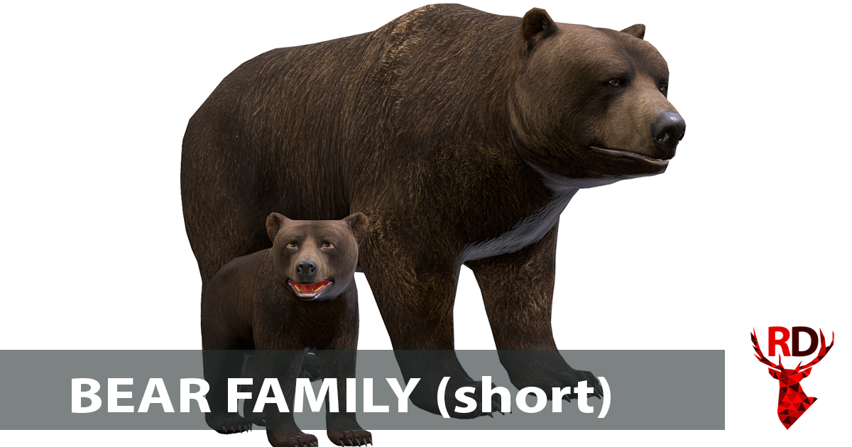 Bear family (short) | Characters | Unity Asset Store