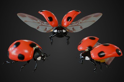 Animated Ladybug