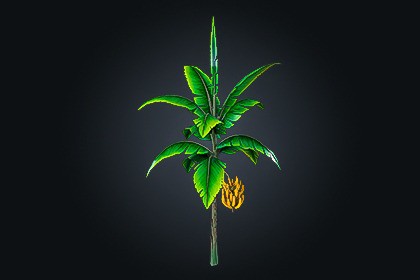 Banana Tree V1 – Tropical Vegetation | Game Ready | Built-In & URP Compatible
