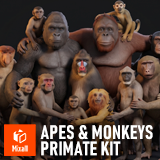 Apes & Monkeys - Primate Kit