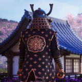 Elite Samurai Warrior