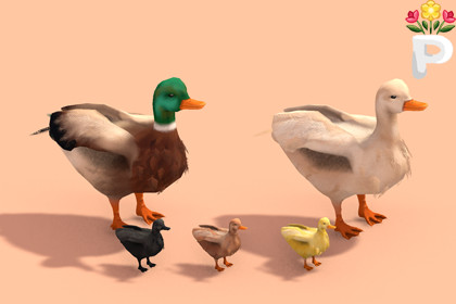 Country Critters: Stylized Hand-Painted Ducks