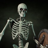 Skeleton 01