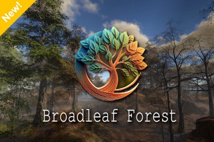 Broadleaf Forest