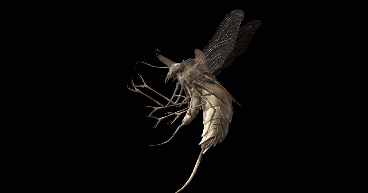 Unity Insects FlyingBug1 A1 | Characters | Unity Asset Store