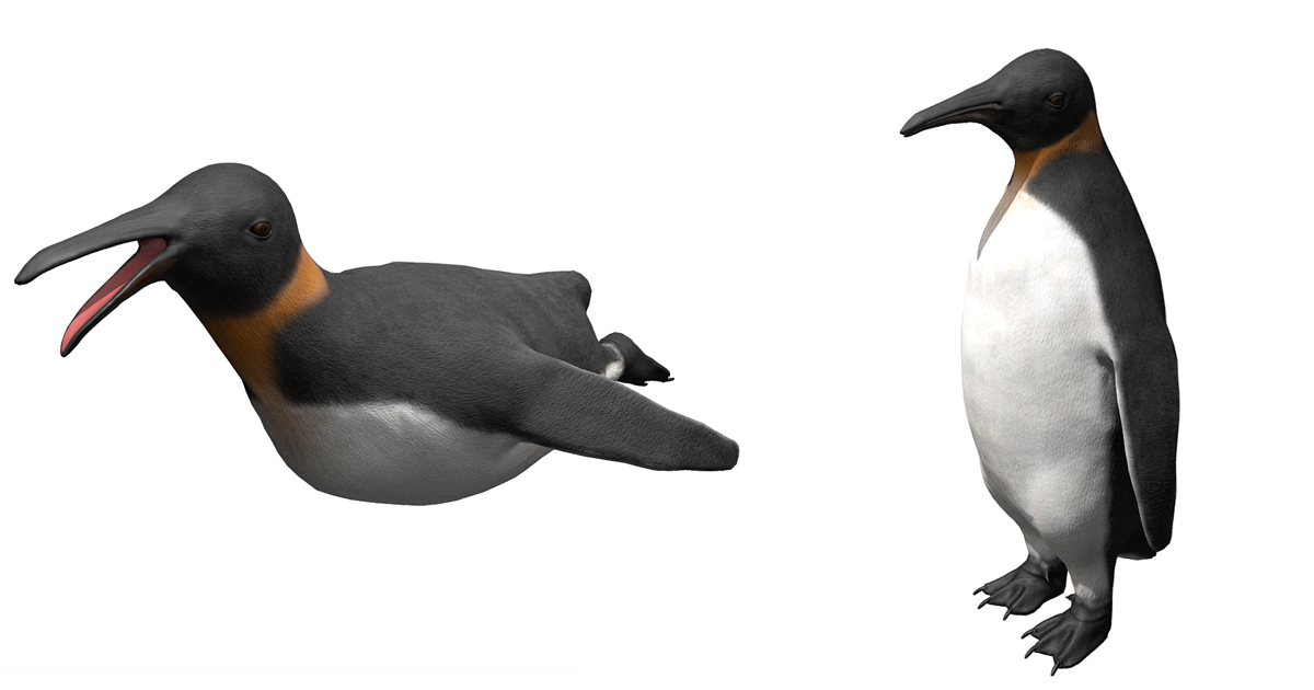 Arctic Penguin | Characters | Unity Asset Store