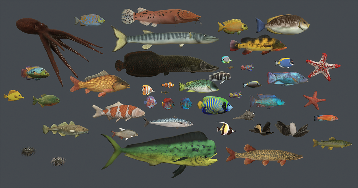 Unity Asset Fish Underwater life deluxe | Characters | Unity Asset Store